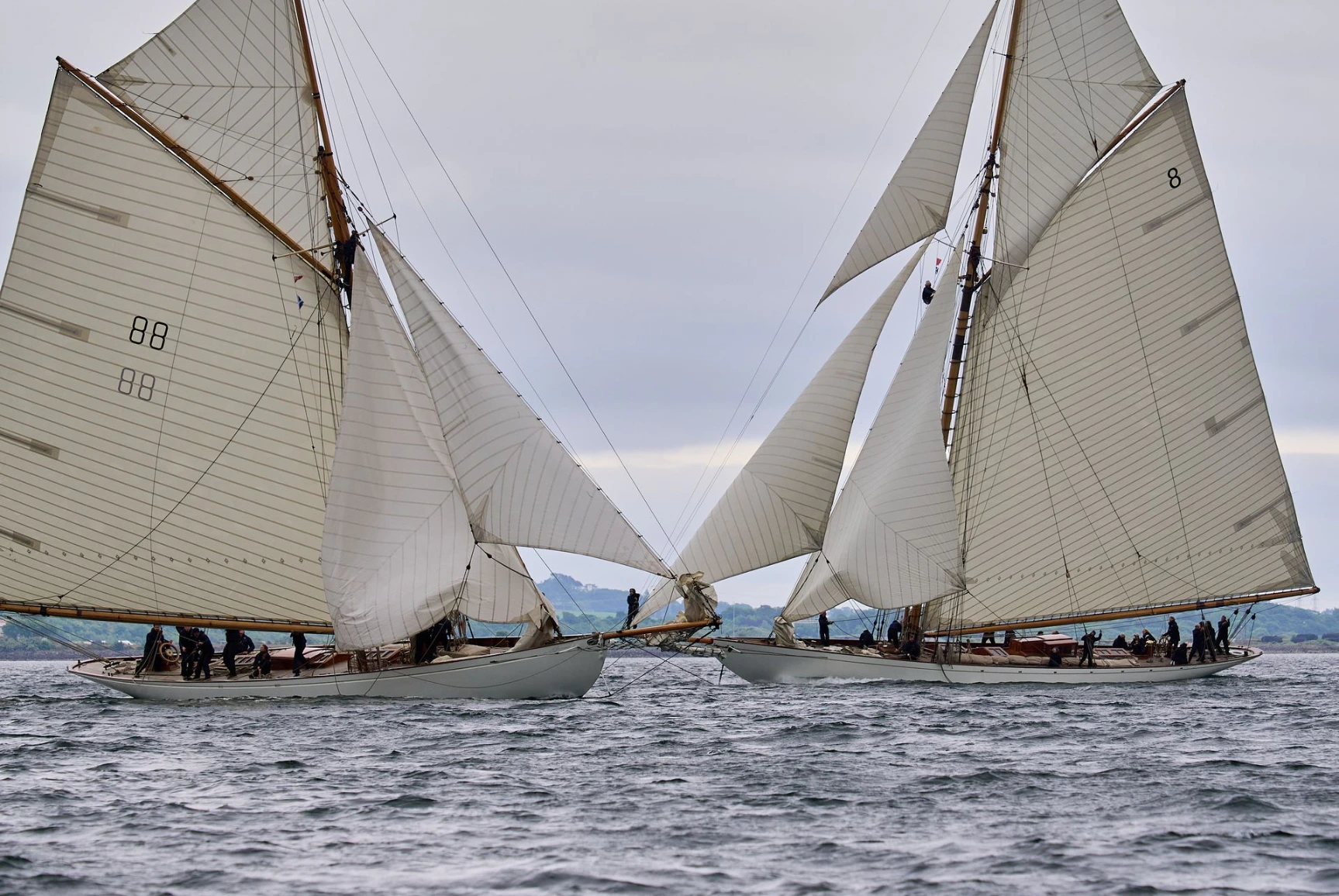 Photographer: Thomas Collier