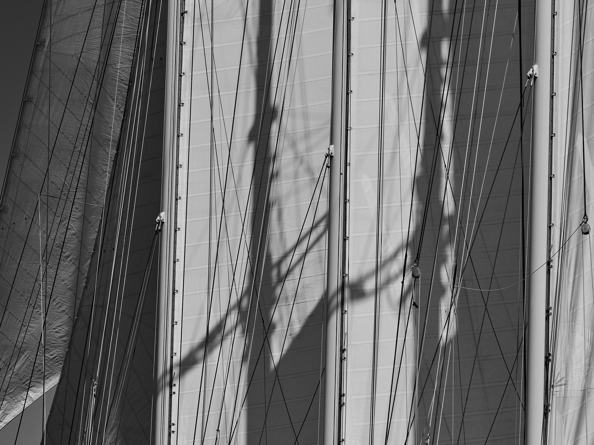 Thomas Collier